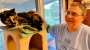 BILD in Springfield, wo Einwanderer angeblich Katzen essen | News | BILD.de